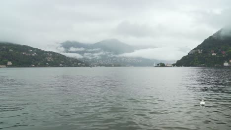 White-Swan-is-Eating-at-Como-Lake