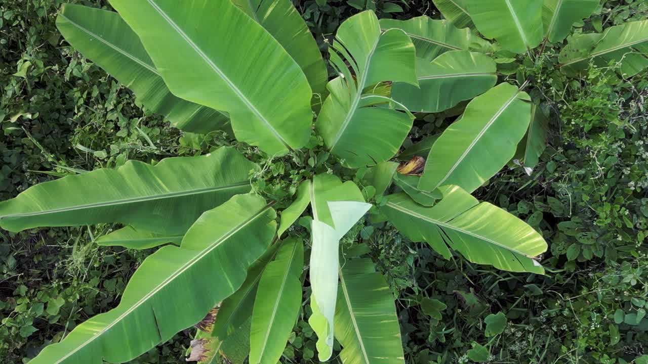 최고의 항공 시각 비행