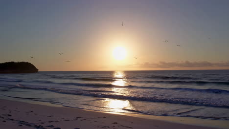 serene beach sunrise with birds and ocean reflections