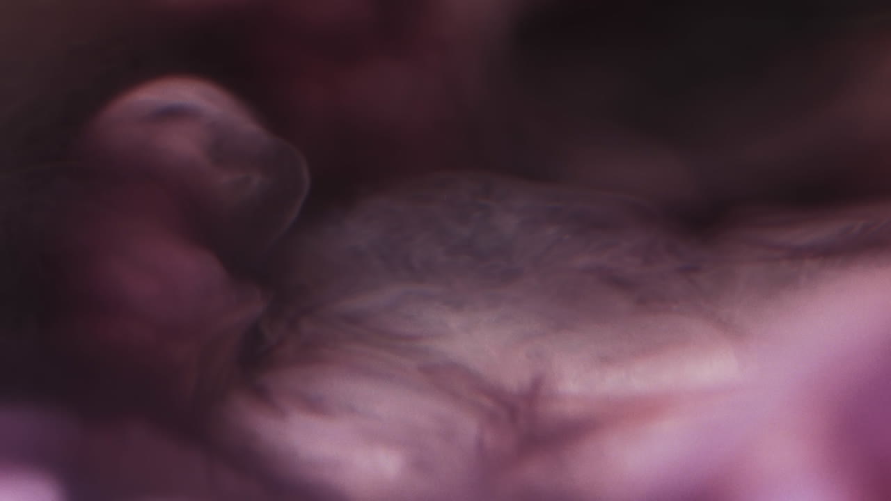 Video in slow motion di inchiostro acquerello viola che si mescola nell'acqua su sfondo nero