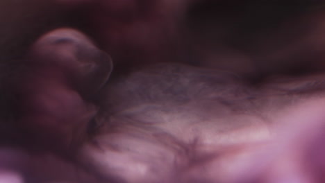 video en cámara lenta de tinta de acuarela púrpura mezclada con agua contra un fondo negro