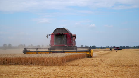 agriculture process in field. wheat field and red combine. harvesting process.