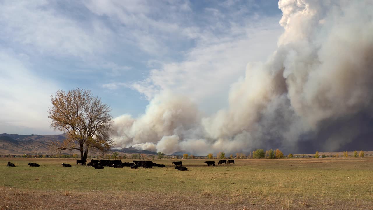 fuego de calwood ardiendo en la cordillera frontal del norte de colorado