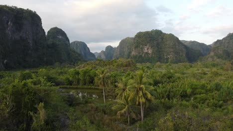 beautiful green nature in asia