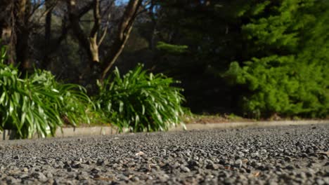 un primer plano de un longboard bajando una colina