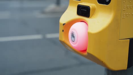 close-up of a pedestrian crossing button