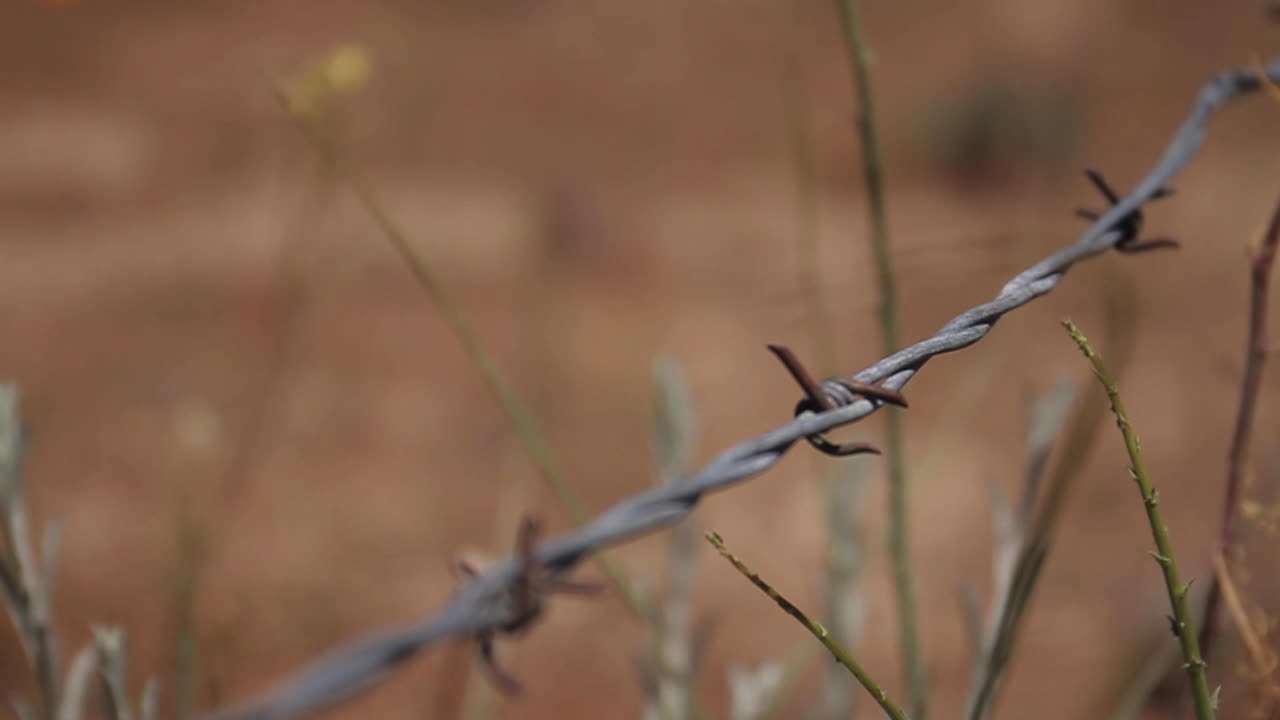 Barbed Wire in a Field