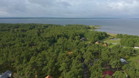 drone delantero de un pueblo estonio en el bosque junto al mar