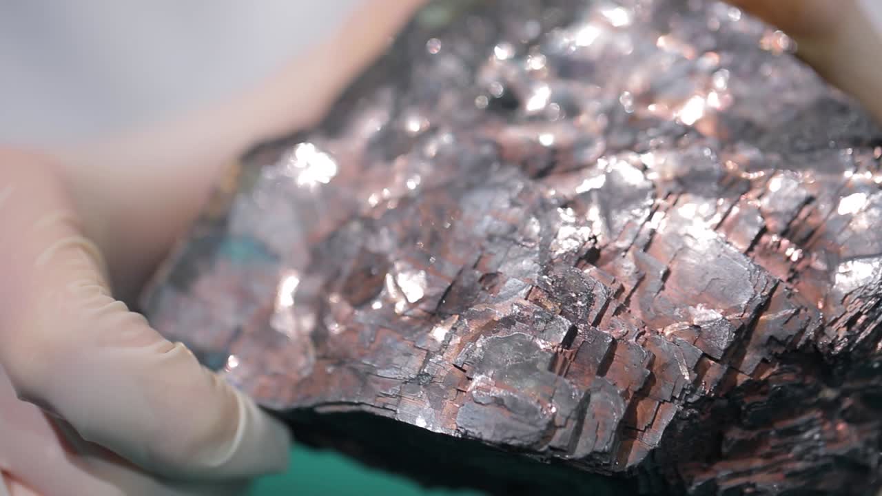 석탄 플의 클로즈업 뷰