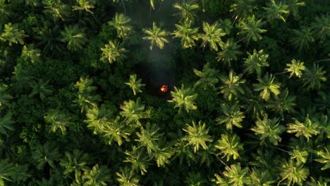 top view of green coconut trees in an island in fiji with bonfire in the middle - aerial shot