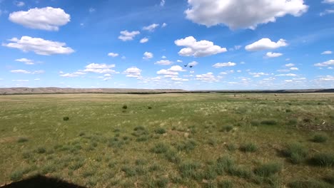 SLOW-MOTION---Two-small-birds-flying-over-a-grassy-field-in-the-country-on-a-sunny-day