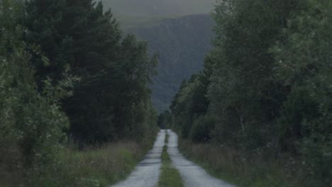 cyclist on a touring bike approaching from afar on a desolate gravel road in the forrest in norway, scandinavia in heavy wind