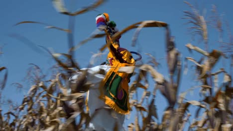 aya huma devil running into the cornfield in the mountain