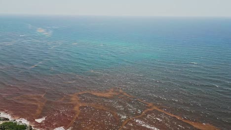 aerial view of sargassum seaweed drifting in patches near the shore of tulum, mexico. environmental impact seen in contrast to turquoise caribbean water