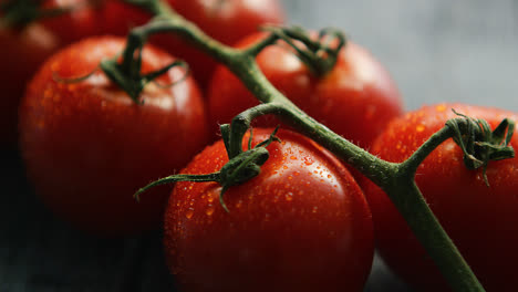 Ripe-red-cherry-tomatoes-on-branch-