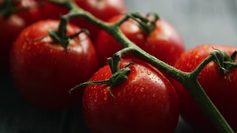 ripe red cherry tomatoes on branch