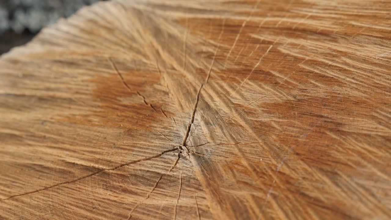 текстура дров, сделанная с помощью разделения маула медленной сковородки 4k