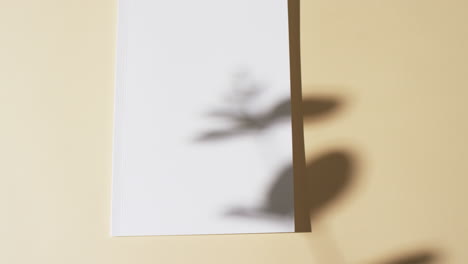 video of shadow of plant over book with blank white pages and copy space on yellow background