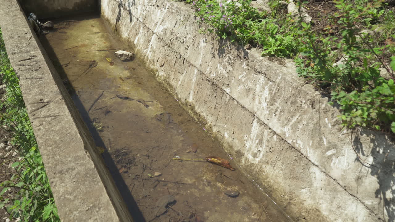 depósito de agua vacío para animales