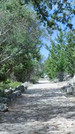 camino de adoquines a través de un jardín