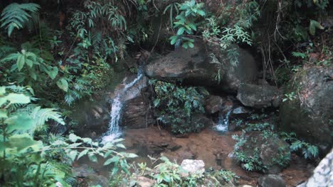 beautiful slow motion shot of water falling in natural pools, secret cenote jungle