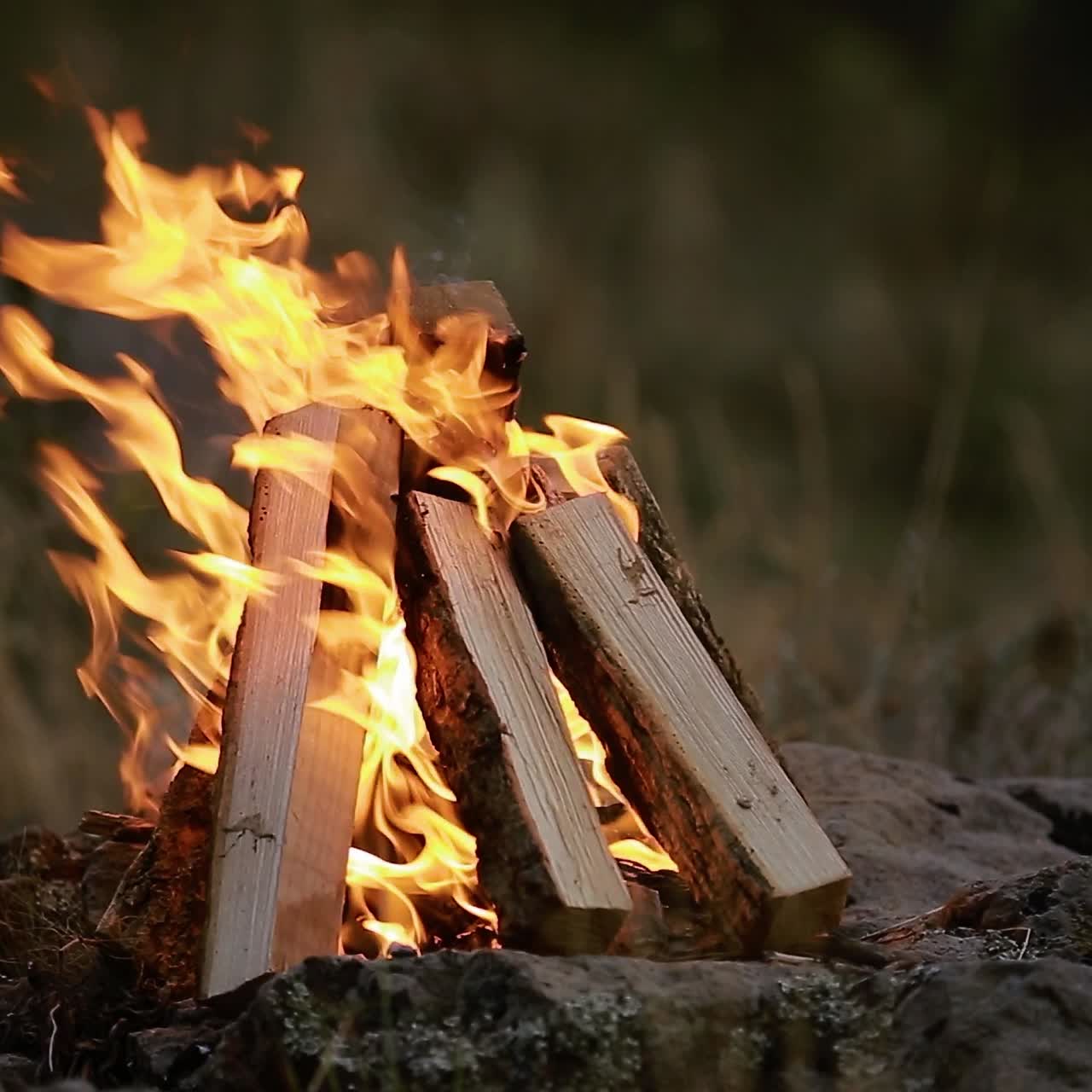 Campfire Burns Brightly At Sunset. Campfire burns brightly at sunset along the beautiful beach of lake
