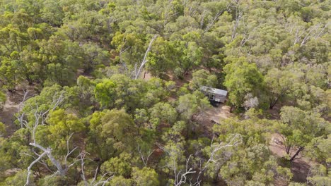 Tiny-cabin-hidden-in-amongst-the-forest