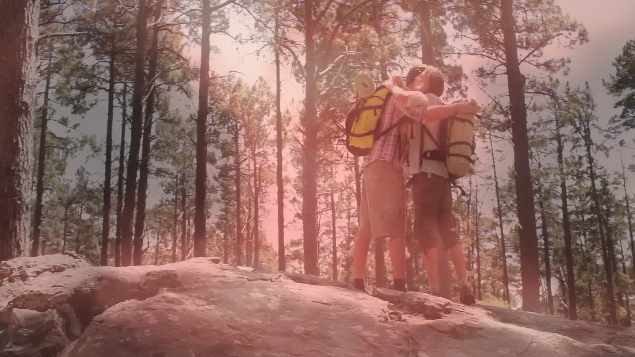Two hikers high-fiving on rock in pine forest, showing animated health icon, wellness chart