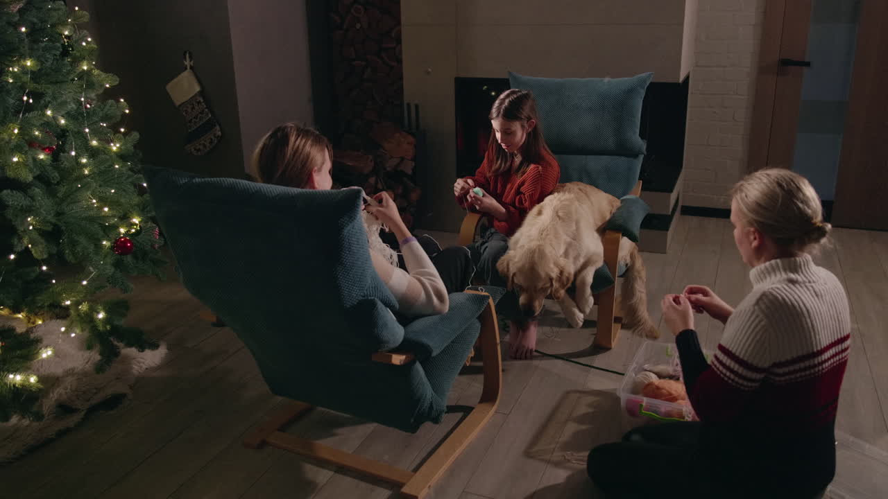 Family knitting together at home with their dog during Christmas
