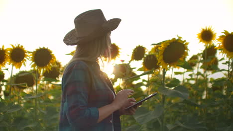 una estudiante camina a través de un campo con grandes girasoles y escribe información sobre ello en su tableta electrónica.