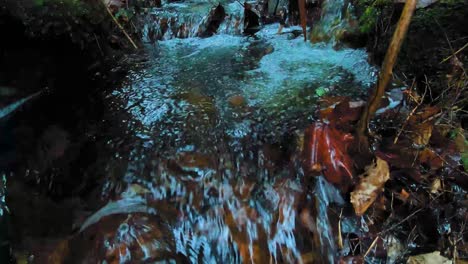 slow motion close up tilting down past small waterfall in a forest stream