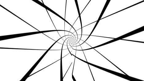 black spiral lines on the white background unfold and reassemble