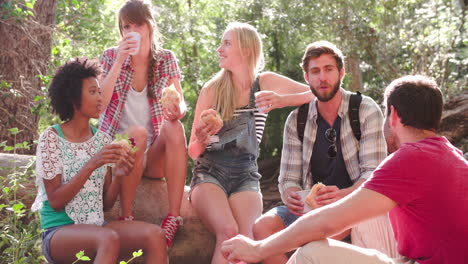 group of friends hiking in a forest take a break to eat