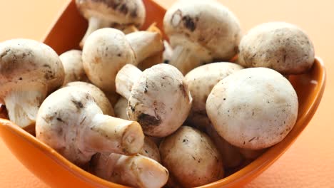 fresh champignons mushroom in a white bowl on table ,