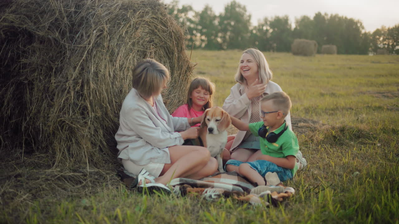 아이를 가진 자매들은 야외에서 개를 만지는 것을 즐기고, 해가 지는 동안 풀 에 앉아, 시골 환경에서 따뜻한 가족 순간, 평범한 야외 레저를 즐긴다.