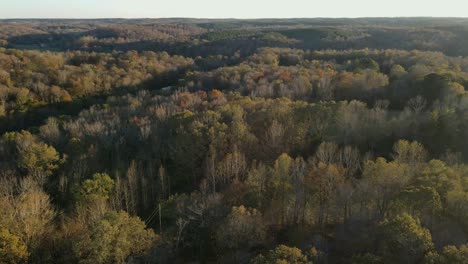 aerial fast winding shot of trees on a tennessee countryside