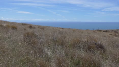 Blauer-Himmel-Und-Wunderschöne-Aussicht-Auf-Das-Meer-Während-Des-Bergaufspaziergangs-Im-Sommer---Brise-Col,-Banks-Peninsula