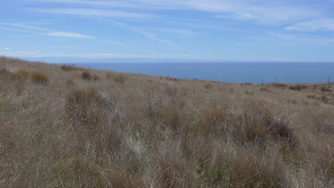 cielo azul y hermosas vistas al océano durante la caminata cuesta arriba en verano - collado de brisa, península de los bancos