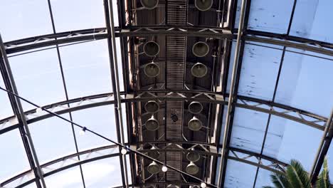 greenhouse interior with palm trees and glass roof