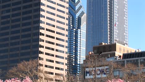 The-Camera-Pans-Up-Past-Flowering-Dogwood-Trees-To-The-Tops-Of-Some-Of-Philadelphia'S-Most-Impressive-Skyscrapers