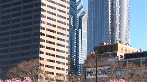 the camera pans up past flowering dogwood trees to the tops of some of philadelphia's most impressive skyscrapers