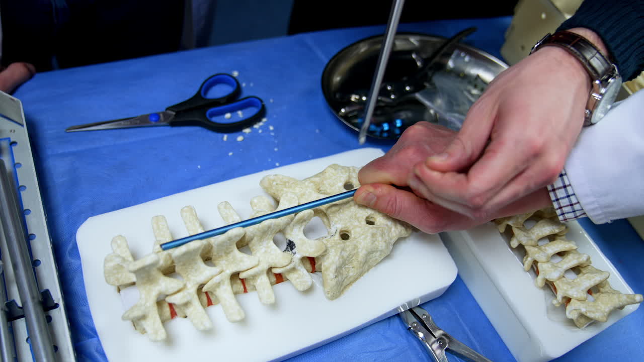 Two pairs of male hands touch the spine dummy and apply surgical tools. Man cut small pieces of a mock-up displaying the work of a device. Close up.