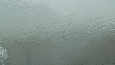 wide view of a damaged car windshield in heavy rain