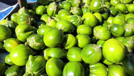 market banking with brazilian green jilo, scarlet eggplant, pan from right to left