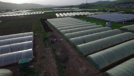 agricultural in greenhouses and drip irrigation