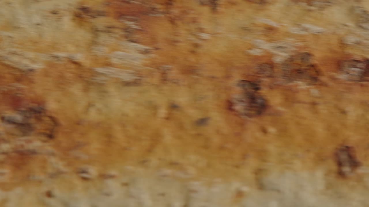 primer plano de la textura de la corteza del árbol