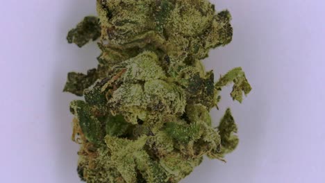 la planta de marihuana medicinal el cáñamo
