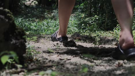 vista trasera de los pies de una mujer caminando en un bosque