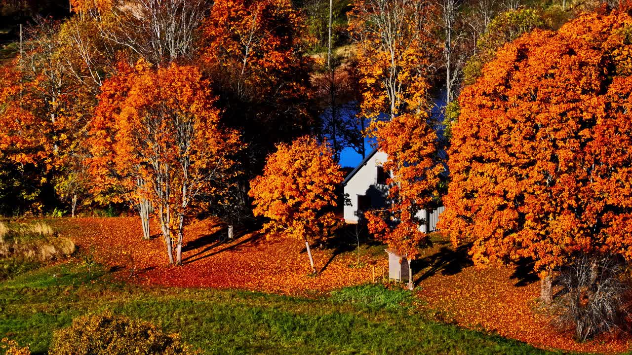 Aerial of lakeside countryside home surrounded by vibrant, golden orange autumn trees