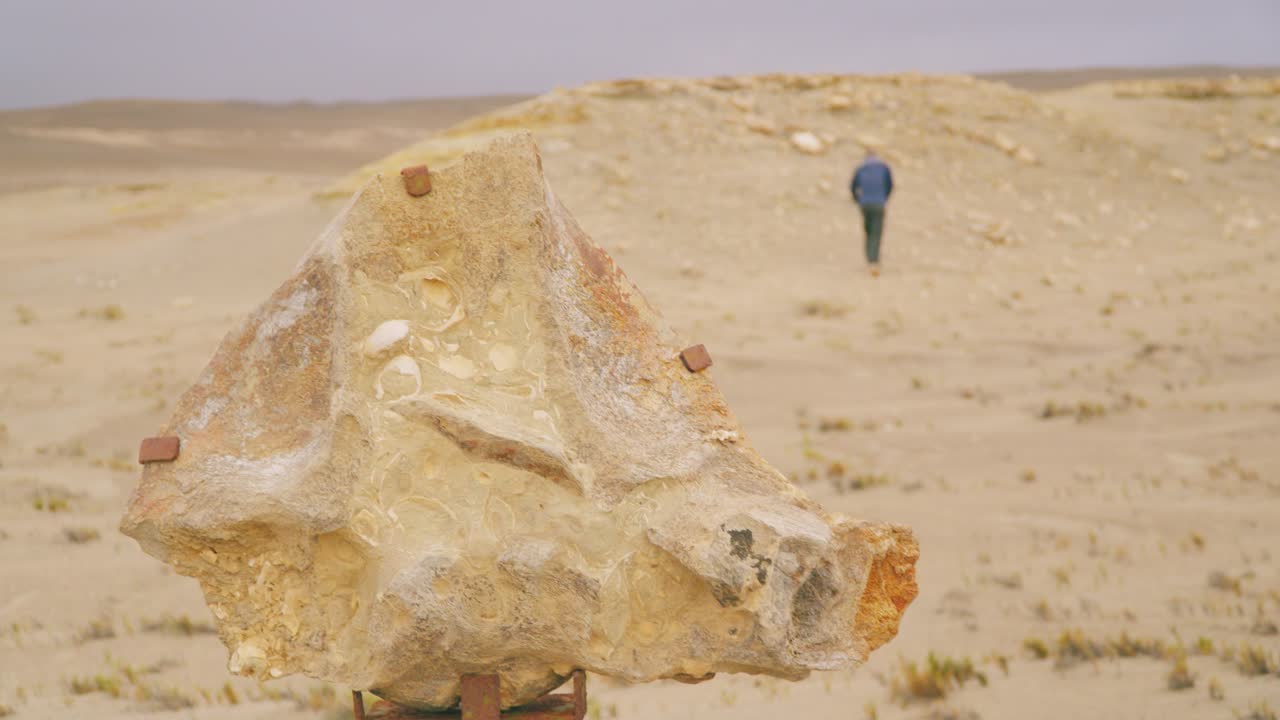 Fixed camera shot of a fossilized rock formation in desert terrain with person walking in the background